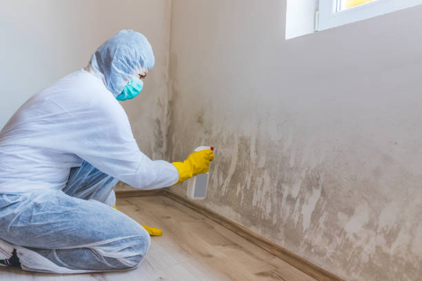Mold Remediation specialist working in Moyock