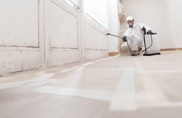 Black mold remediation team in Moyock